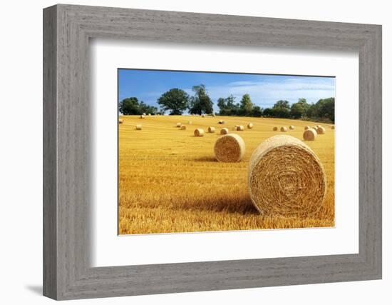 Hay Bail Harvesting in Golden Field Landscape-Flynt-Framed Photographic Print