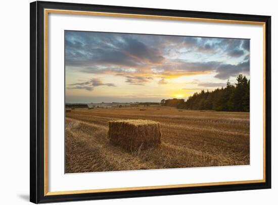 Hay Bale at Sunset, Broadway, the Cotswolds, Gloucestershire, England, United Kingdom, Europe-Matthew Williams-Ellis-Framed Photographic Print