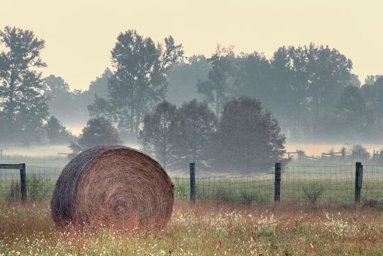 Old Meham Rural Hay bale in rural farm field, Oldham County, Kentucky Premium ...