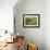 Hay Bale in Sunflowers Field, Bluegrass Region, Kentucky, USA-Adam Jones-Framed Photographic Print displayed on a wall