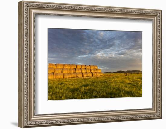 Hay Bales and Chalk Buttes Receive Beautiful Morning Light Near Ekalaka, Montana, Usa-Chuck Haney-Framed Photographic Print