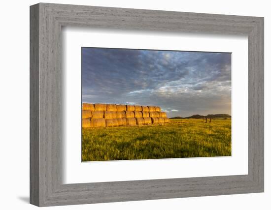 Hay Bales and Chalk Buttes Receive Beautiful Morning Light Near Ekalaka, Montana, Usa-Chuck Haney-Framed Photographic Print