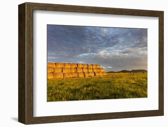 Hay Bales and Chalk Buttes Receive Beautiful Morning Light Near Ekalaka, Montana, Usa-Chuck Haney-Framed Photographic Print