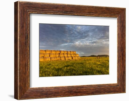 Hay Bales and Chalk Buttes Receive Beautiful Morning Light Near Ekalaka, Montana, Usa-Chuck Haney-Framed Photographic Print