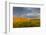 Hay Bales and Chalk Buttes Receive Beautiful Morning Light Near Ekalaka, Montana, Usa-Chuck Haney-Framed Photographic Print