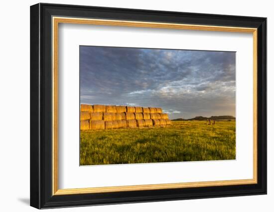 Hay Bales and Chalk Buttes Receive Beautiful Morning Light Near Ekalaka, Montana, Usa-Chuck Haney-Framed Photographic Print