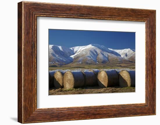 Hay bales and Kakanui Mountains, Kyeburn, near Ranfurly, Maniototo, Central Otago, South Island, Ne-David Wall-Framed Photographic Print