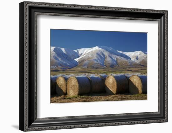 Hay bales and Kakanui Mountains, Kyeburn, near Ranfurly, Maniototo, Central Otago, South Island, Ne-David Wall-Framed Photographic Print