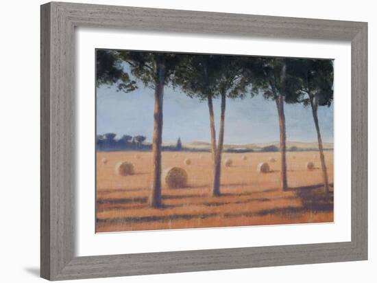 Hay Bales and Pines, Pienza, 2012-Lincoln Seligman-Framed Giclee Print