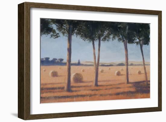 Hay Bales and Pines, Pienza, 2012-Lincoln Seligman-Framed Giclee Print