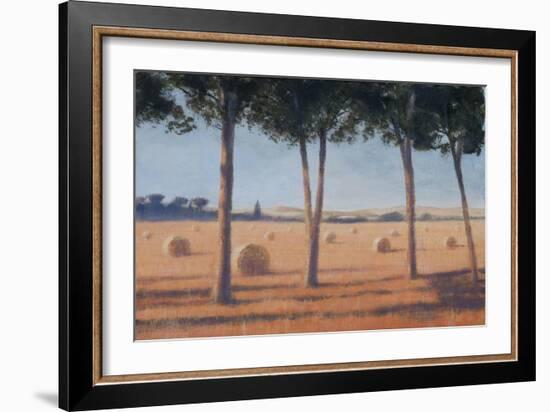 Hay Bales and Pines, Pienza, 2012-Lincoln Seligman-Framed Giclee Print