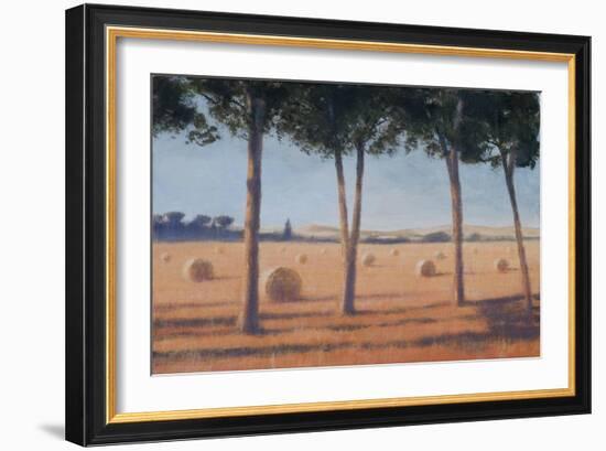 Hay Bales and Pines, Pienza, 2012-Lincoln Seligman-Framed Giclee Print