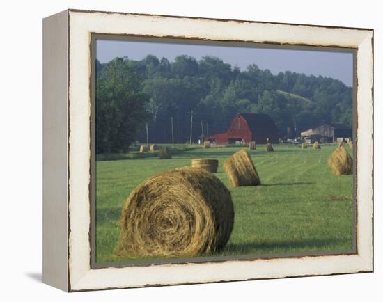 Hay Bales and Red Barn, Greenup, Kentucky, USA-Adam Jones-Framed Premier Image Canvas
