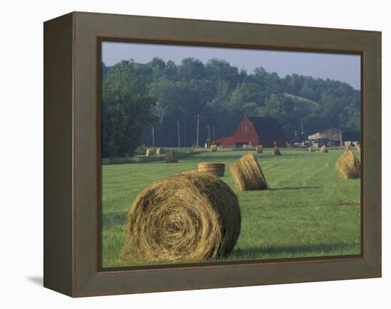 Hay Bales and Red Barn, Greenup, Kentucky, USA-Adam Jones-Framed Premier Image Canvas