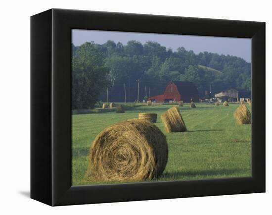 Hay Bales and Red Barn, Greenup, Kentucky, USA-Adam Jones-Framed Premier Image Canvas