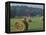 Hay Bales and Red Barn, Greenup, Kentucky, USA-Adam Jones-Framed Premier Image Canvas