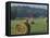 Hay Bales and Red Barn, Greenup, Kentucky, USA-Adam Jones-Framed Premier Image Canvas