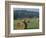 Hay Bales and Red Barn, Greenup, Kentucky, USA-Adam Jones-Framed Photographic Print