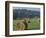 Hay Bales and Red Barn, Greenup, Kentucky, USA-Adam Jones-Framed Photographic Print