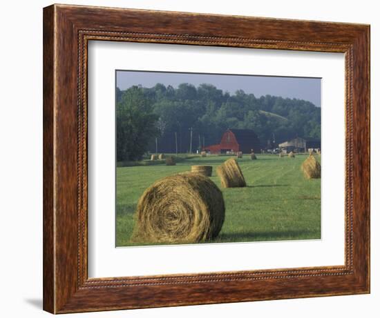 Hay Bales and Red Barn, Greenup, Kentucky, USA-Adam Jones-Framed Photographic Print