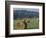 Hay Bales and Red Barn, Greenup, Kentucky, USA-Adam Jones-Framed Photographic Print