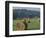 Hay Bales and Red Barn, Greenup, Kentucky, USA-Adam Jones-Framed Photographic Print