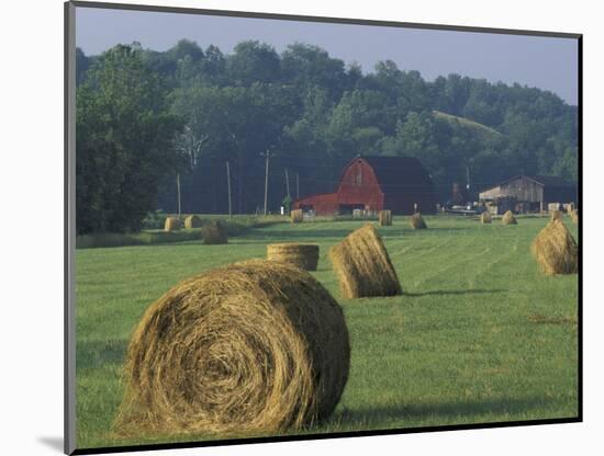 Hay Bales and Red Barn, Greenup, Kentucky, USA-Adam Jones-Mounted Photographic Print