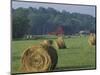 Hay Bales and Red Barn, Greenup, Kentucky, USA-Adam Jones-Mounted Photographic Print