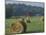 Hay Bales and Red Barn, Greenup, Kentucky, USA-Adam Jones-Mounted Photographic Print