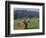 Hay Bales and Red Barn, Greenup, Kentucky, USA-Adam Jones-Framed Photographic Print