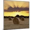 Hay Bales at Sunset, East Sussex, England, United Kingdom, Europe-Stuart Black-Mounted Photographic Print