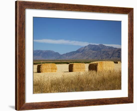 Hay Bales, Butte County, Idaho, USA-Jamie & Judy Wild-Framed Photographic Print