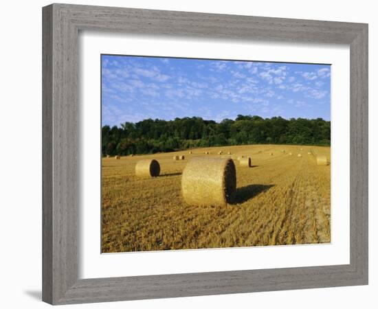 Hay Bales in a Field in Late Summer, Kent, England, UK, Europe-David Tipling-Framed Photographic Print