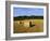 Hay Bales in a Field in Late Summer, Kent, England, UK, Europe-David Tipling-Framed Photographic Print