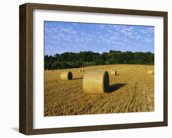 Hay Bales in a Field in Late Summer, Kent, England, UK, Europe-David Tipling-Framed Photographic Print