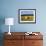 Hay Bales in a Field in Late Summer, Kent, England, UK, Europe-David Tipling-Framed Photographic Print displayed on a wall