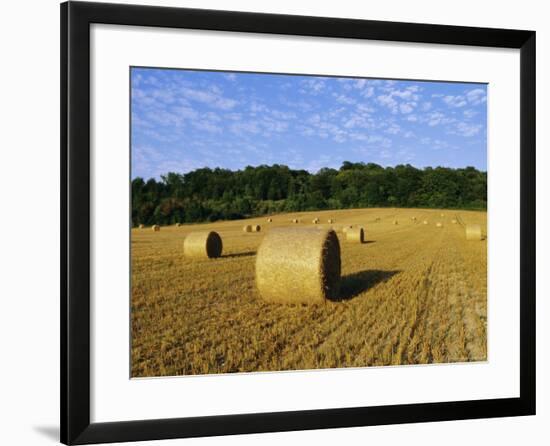 Hay Bales in a Field in Late Summer, Kent, England, UK, Europe-David Tipling-Framed Photographic Print