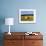 Hay Bales in a Field in Late Summer, Kent, England, UK, Europe-David Tipling-Framed Photographic Print displayed on a wall