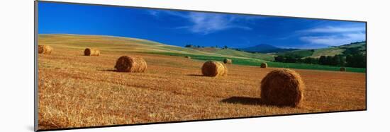 Hay Bales in a Field, Val D'Orcia, Siena Province, Tuscany, Italy-null-Mounted Photographic Print