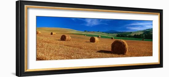 Hay Bales in a Field, Val D'Orcia, Siena Province, Tuscany, Italy-null-Framed Photographic Print