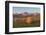 Hay Bales in a Field with the Rocky Mountains in the Background, Near Twin Butte, Alberta, Canada-Miles Ertman-Framed Photographic Print