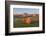 Hay Bales in a Field with the Rocky Mountains in the Background, Near Twin Butte, Alberta, Canada-Miles Ertman-Framed Photographic Print