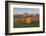Hay Bales in a Field with the Rocky Mountains in the Background, Near Twin Butte, Alberta, Canada-Miles Ertman-Framed Photographic Print