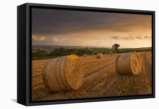 Hay Bales in a Ploughed Field at Sunset, Eastington, Devon, England. Summer (August)-Adam Burton-Framed Premier Image Canvas