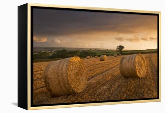 Hay Bales in a Ploughed Field at Sunset, Eastington, Devon, England. Summer (August)-Adam Burton-Framed Premier Image Canvas