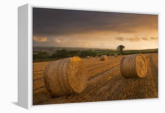 Hay Bales in a Ploughed Field at Sunset, Eastington, Devon, England. Summer (August)-Adam Burton-Framed Premier Image Canvas