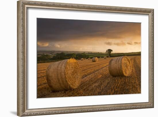 Hay Bales in a Ploughed Field at Sunset, Eastington, Devon, England. Summer (August)-Adam Burton-Framed Photographic Print