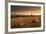 Hay Bales in a Ploughed Field at Sunset, Eastington, Devon, England. Summer (August)-Adam Burton-Framed Photographic Print