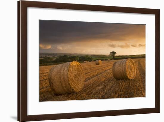 Hay Bales in a Ploughed Field at Sunset, Eastington, Devon, England. Summer (August)-Adam Burton-Framed Photographic Print