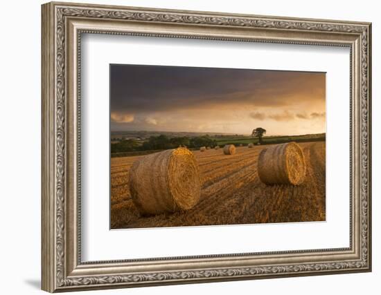 Hay Bales in a Ploughed Field at Sunset, Eastington, Devon, England. Summer (August)-Adam Burton-Framed Photographic Print